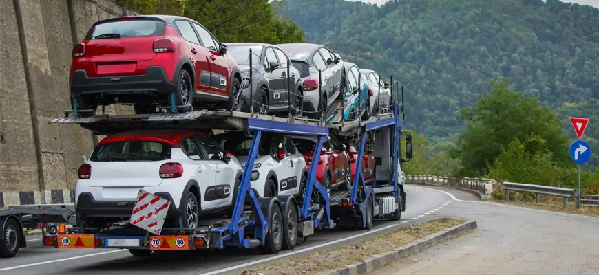 Cross-Country Delivery